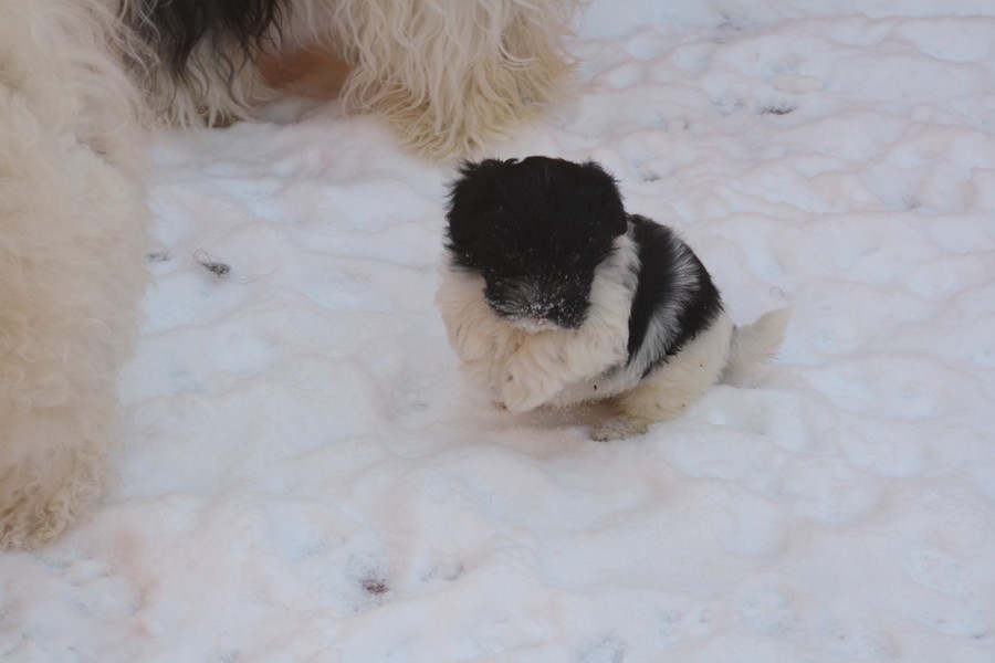 Ma premiere neige