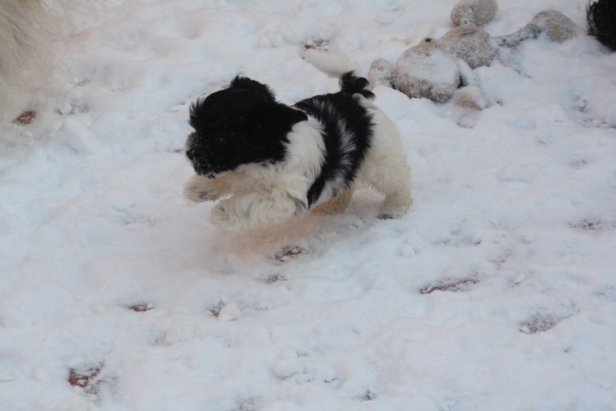 C'est super la neige je m'eclate 