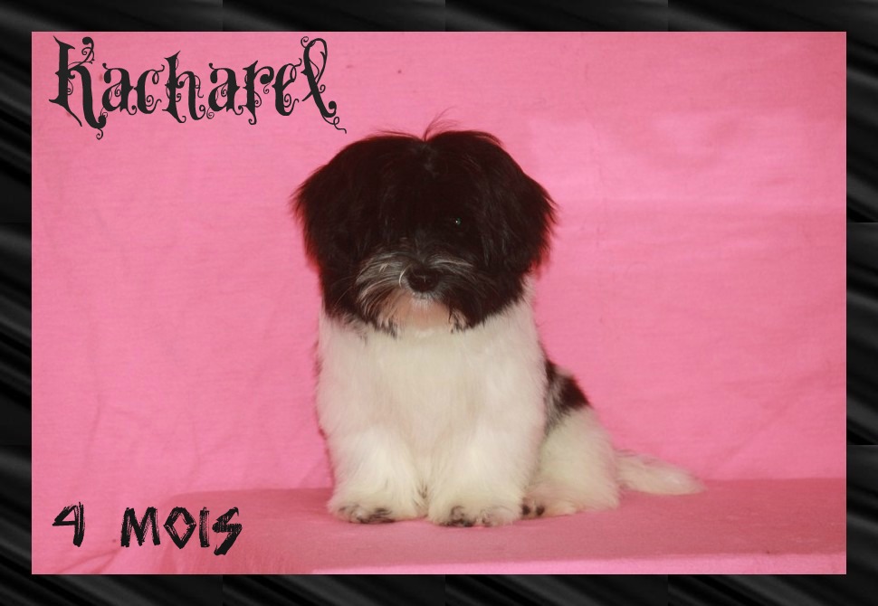 4 mois de bonheur 
